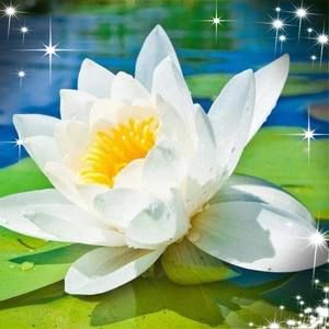 Meet your Posher, Sunshine